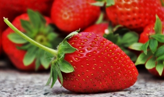 Wpłaty na obiady marzec